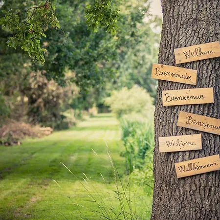 Tente Insolite Jacuzzi Privatif En Pleine Nature *